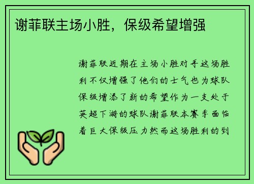 谢菲联主场小胜，保级希望增强