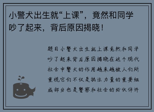 小警犬出生就“上课”，竟然和同学吵了起来，背后原因揭晓！