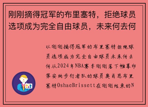 刚刚摘得冠军的布里塞特，拒绝球员选项成为完全自由球员，未来何去何从？