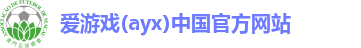 爱游戏ayx体育官网